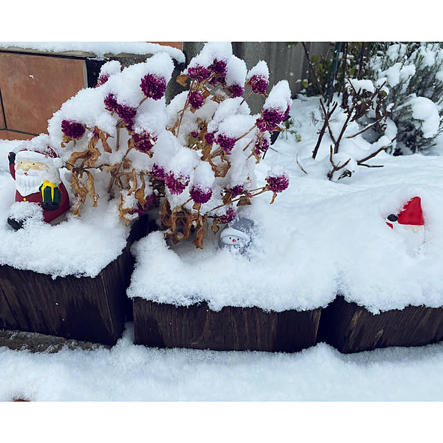 usagiさんの部屋