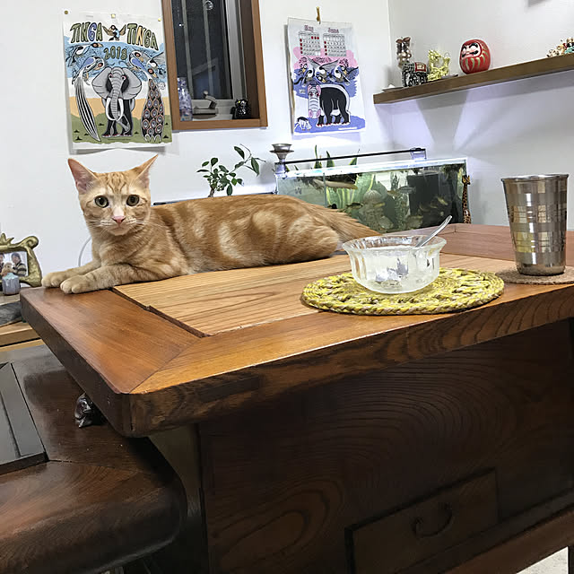 tornadeさんの実例写真