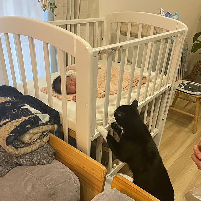 hirokoさんの部屋