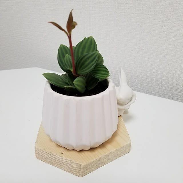 ...t_m_eee...さんの実例写真