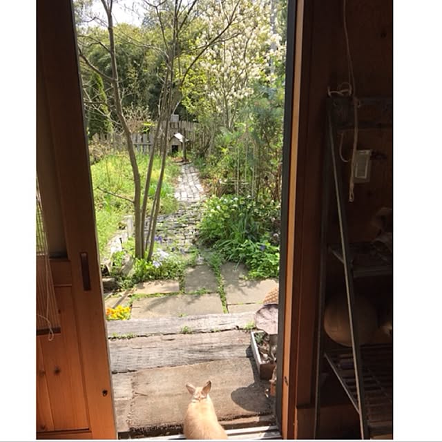 Mackyさんの実例写真