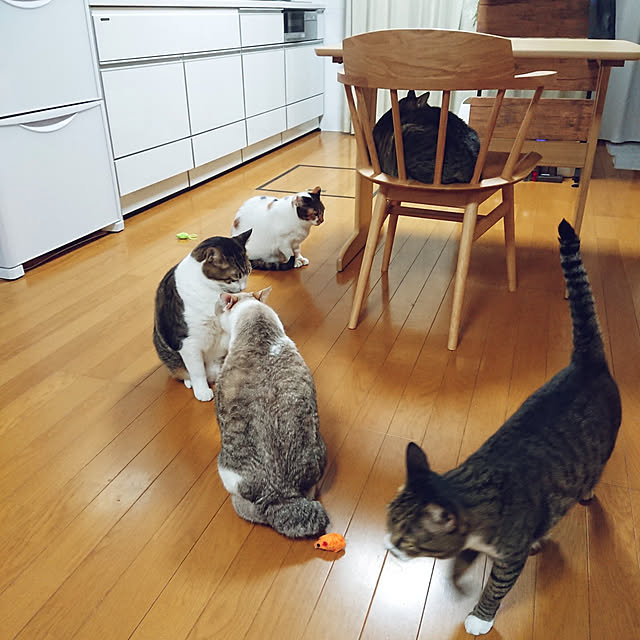 nachiさんの実例写真