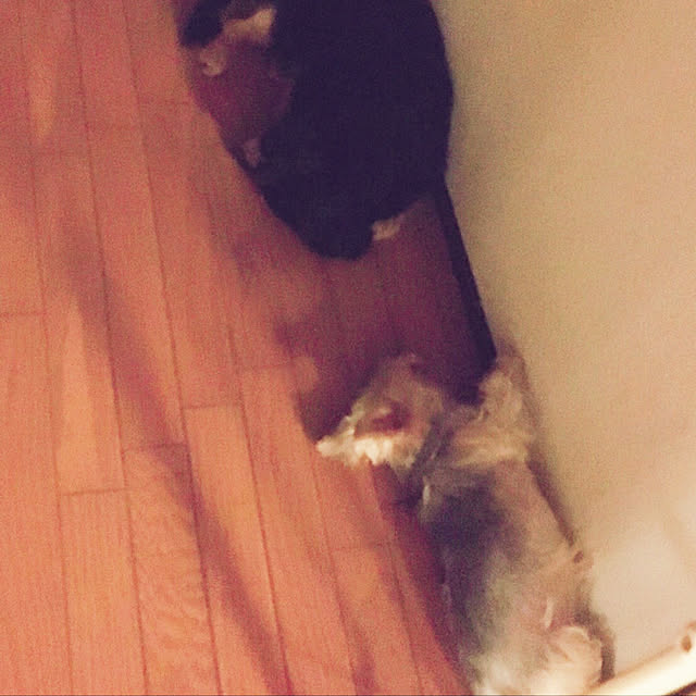 ohanaさんの実例写真
