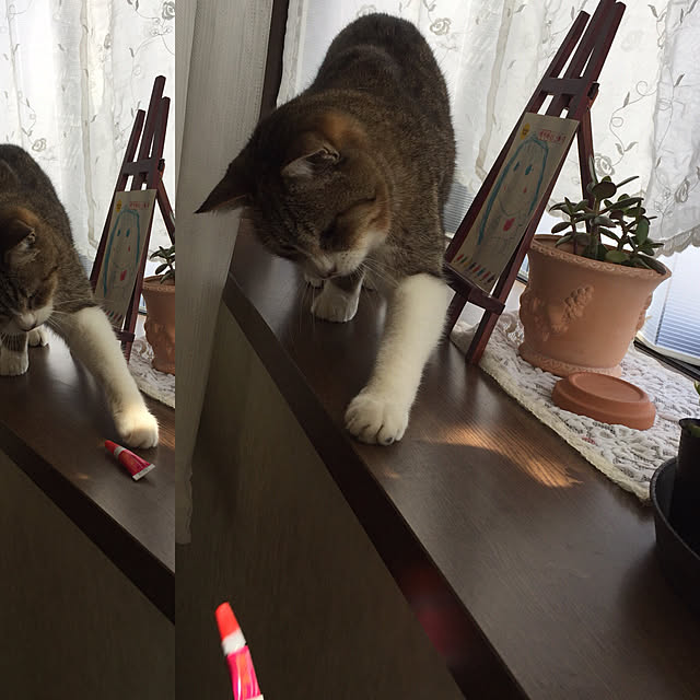 LEOさんの実例写真