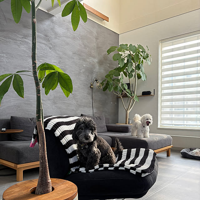 mocoさんの部屋