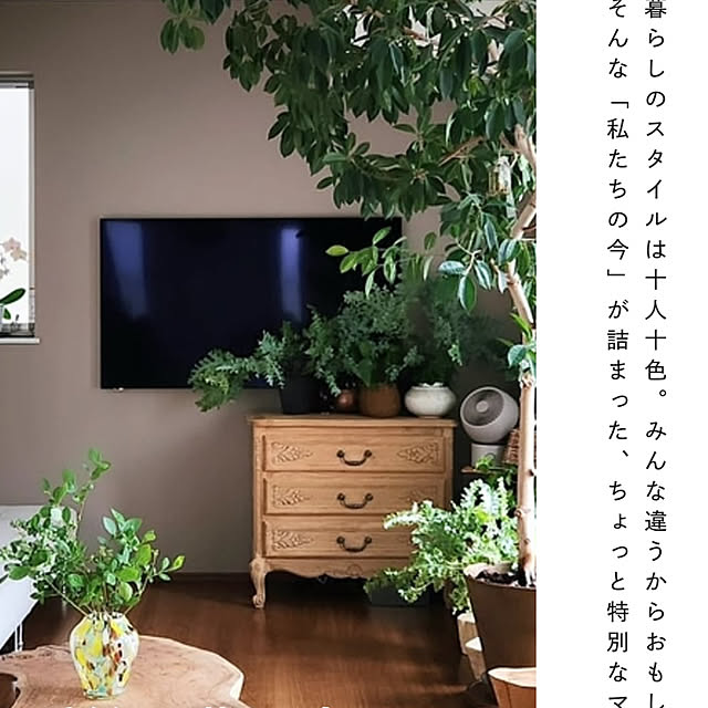 cotaさんの部屋
