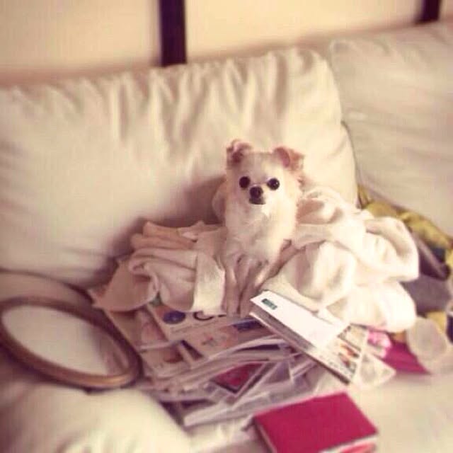 aimelodyさんの実例写真