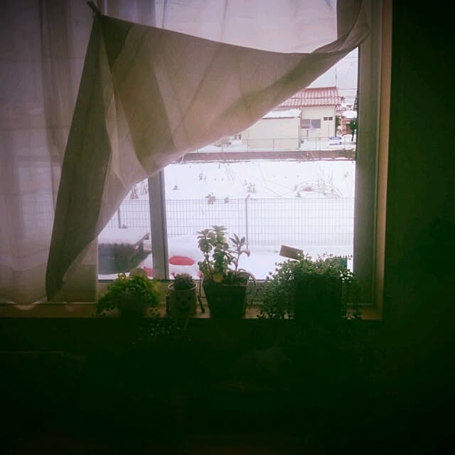 asa.haruaoさんの実例写真