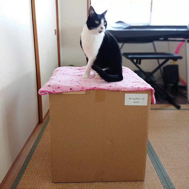 okyosan101さんの実例写真
