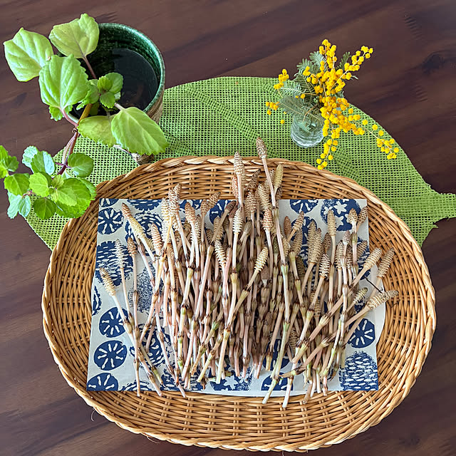 ritsukoさんの部屋