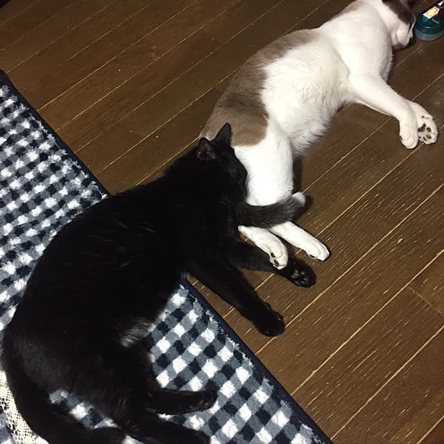 vivienne.coco-keiさんの実例写真