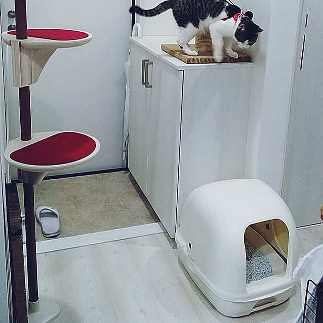 waniwaniさんの実例写真