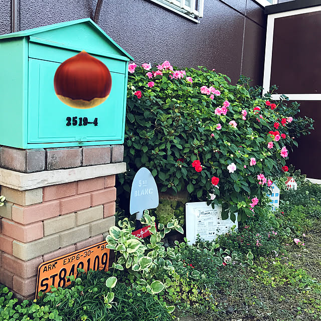 oyoさんの実例写真
