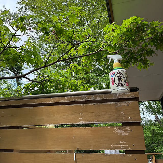 mirutanさんの実例写真