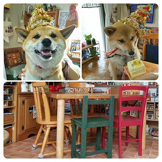 nanaさんの実例写真