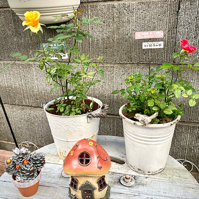 YuuKoさんの実例写真