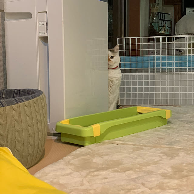 odekoさんの実例写真