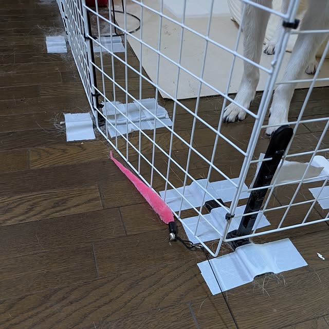 asaさんの実例写真
