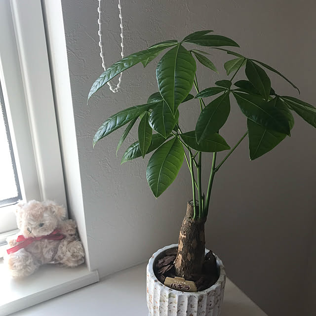 miyu39さんの実例写真