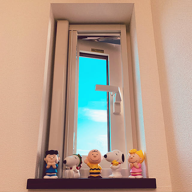 asagaoさんの実例写真