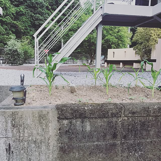 asukanさんの実例写真