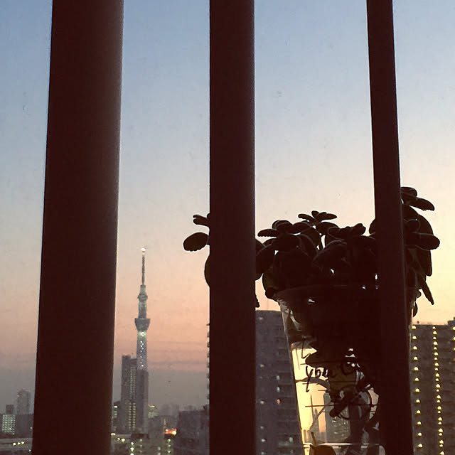 HKSさんの実例写真