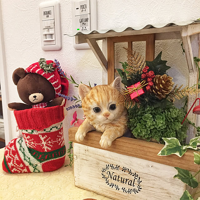 実例写真