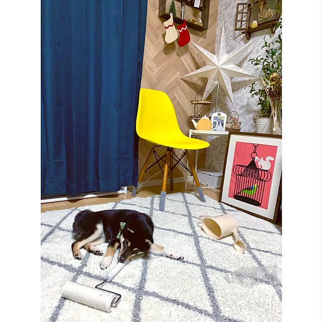 mo-nosukeさんの実例写真