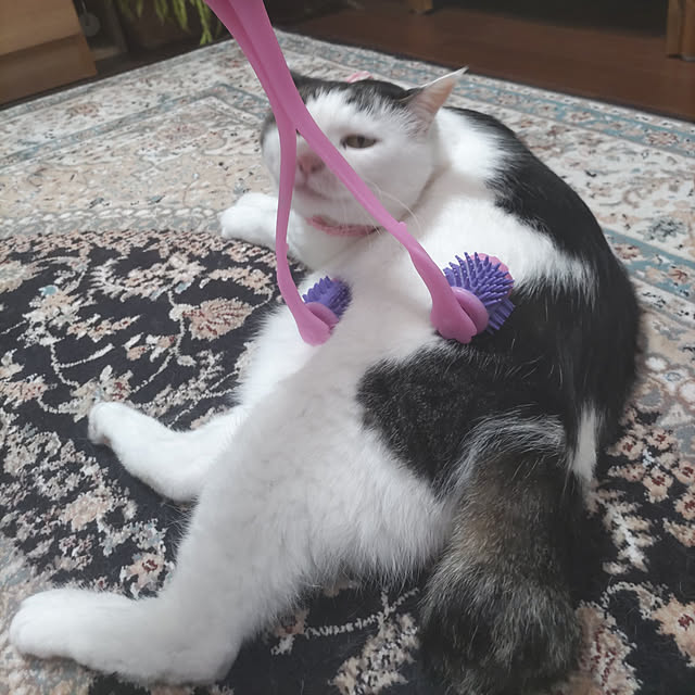 yuuさんの実例写真