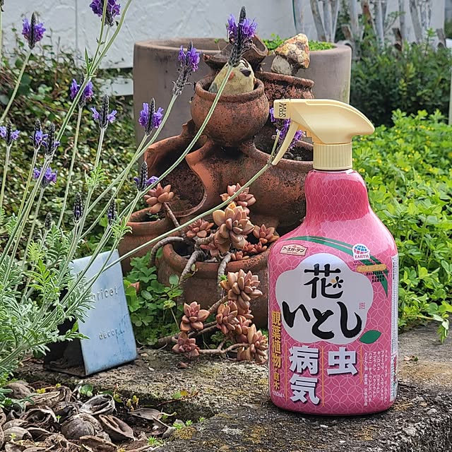 reireiさんの実例写真