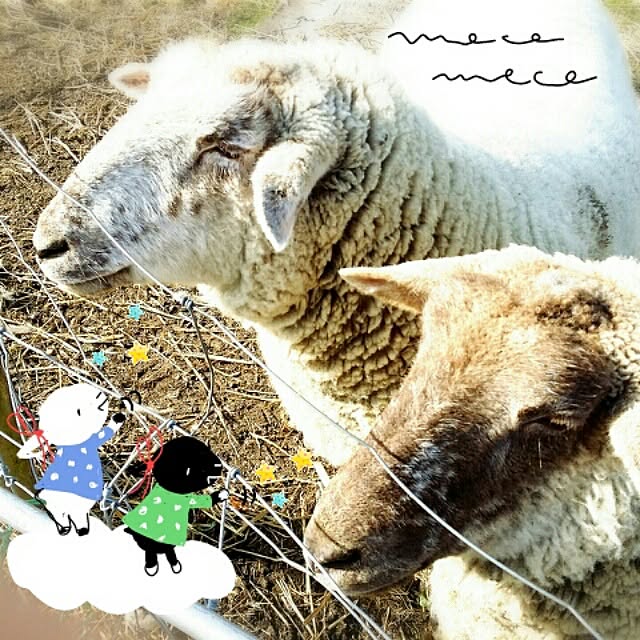 moco-mocoさんの実例写真