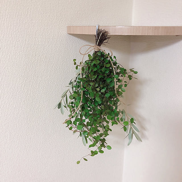 kojiro120513さんの実例写真