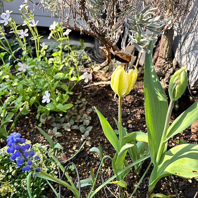 kyoko1124koさんの部屋