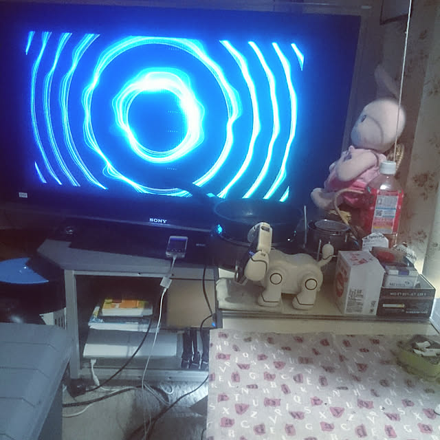 Kenji_AOYAGIさんの実例写真