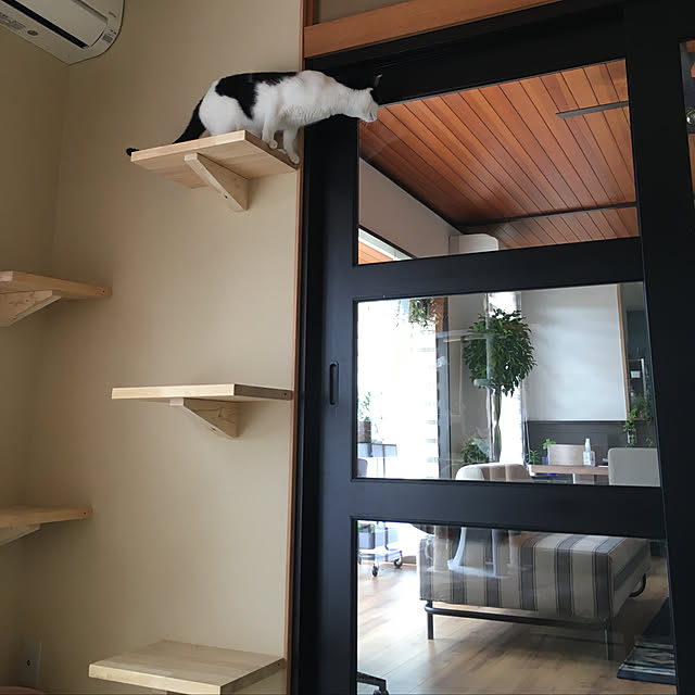 Yukinekoさんの実例写真