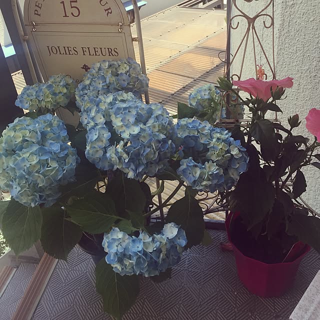 greenroseさんの実例写真