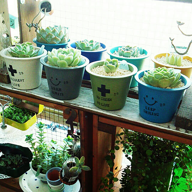 sakusakuさんの実例写真