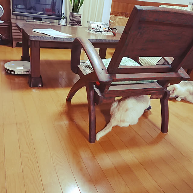 nachiさんの実例写真