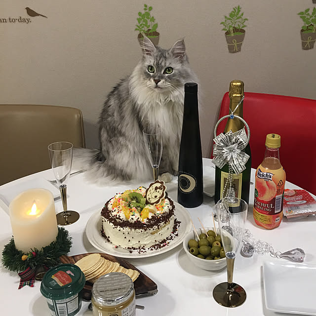 Chitoseさんの実例写真