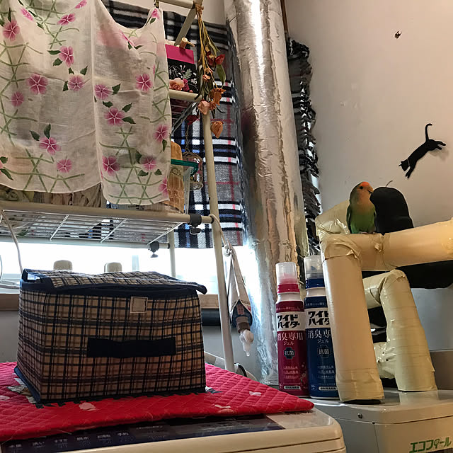 aoinokimiさんの実例写真