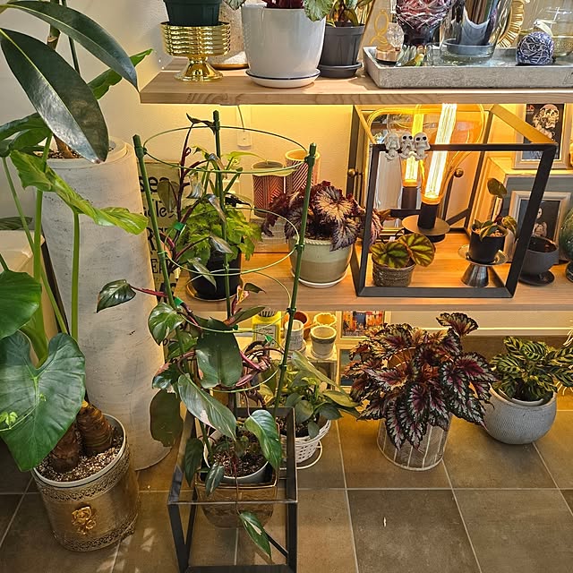nonbiri_house_さんの部屋