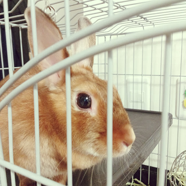 hmryさんの実例写真