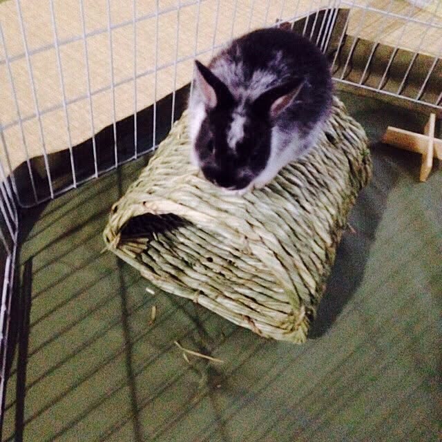 sushitabetai123さんの実例写真