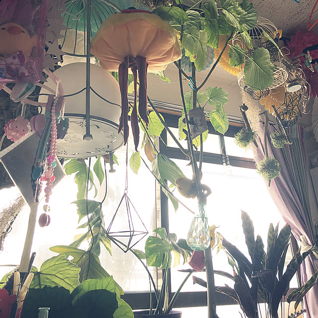 pochi3461さんの実例写真