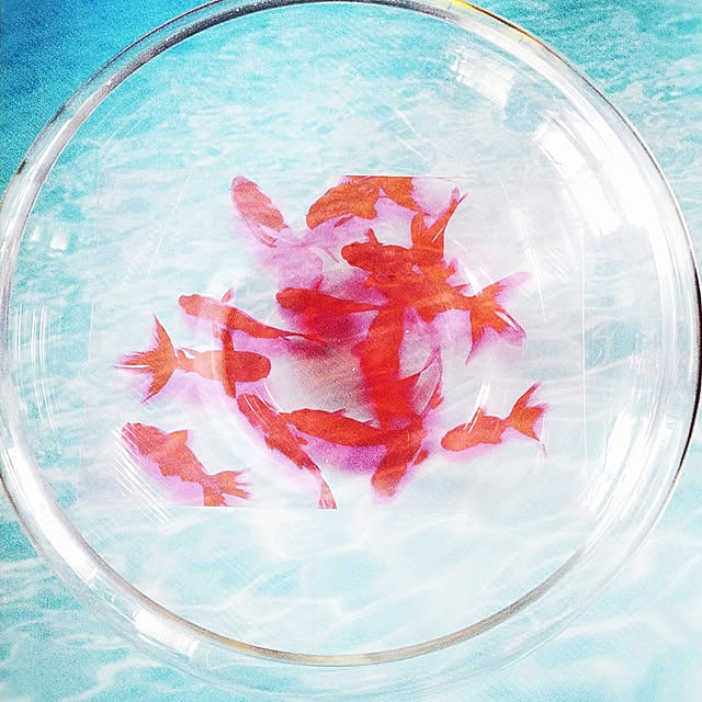 waniwaniさんの実例写真