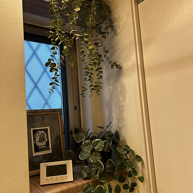 mirolさんの実例写真