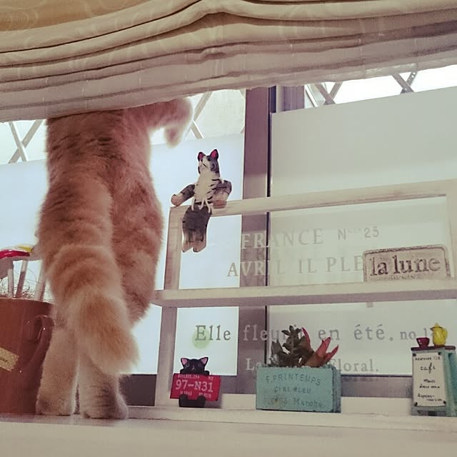 yukiさんの実例写真