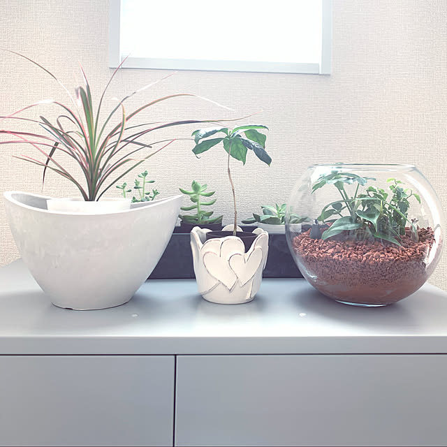 ikotanのイケア-【★IKEA/イケア★】SCHOTTIS プリーツブラインド/402.422.81の家具・インテリア写真