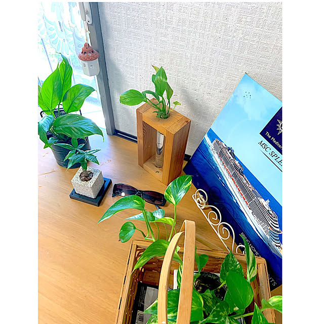 syutmmさんの部屋