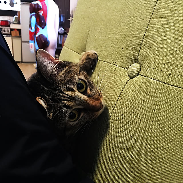 Mさんの実例写真